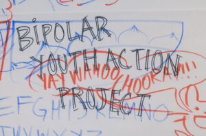 Why is the Bipolar Youth Action Project Cool? Author