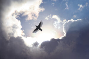 Spirituality and Your Mental Health